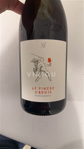 Viinit Rouge sec Le Pineau d'Aunis Hauts Baigneux 2021 Ranska Loiren laakso Touraine AOC
