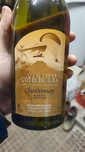 Jura Côtes-du-jura Maison Gouillaud Romaric L'Envol des Châteaux 2023