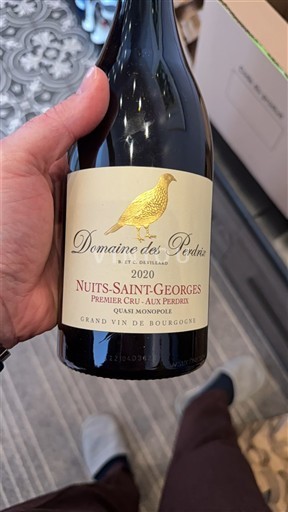 Burgundi Nuits-Sainte-Georges Premier Cru Domaine Perdrix Aux Perdrix 2020