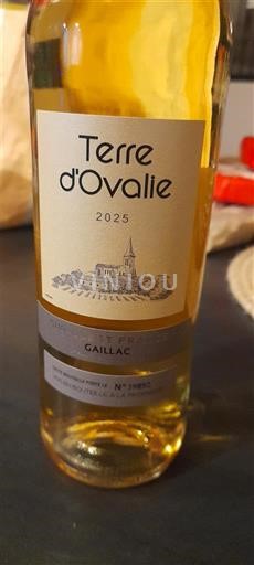 Sørvest Gaillac Terre d'Ovalie 2025