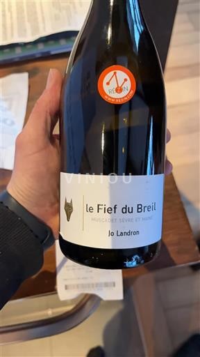 Loiredalen Muscadet-sèvre-et-maine Jo Landron le Fief du Breil Ikke-årgang