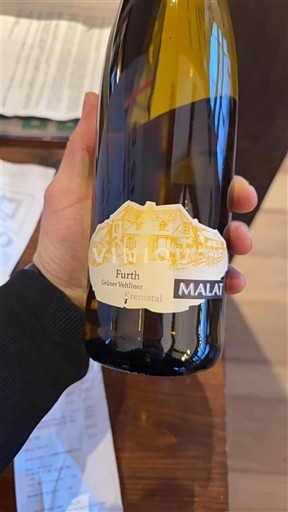 Austria e Poshtme Kremstal Malat Furth Grüner Veltliner Jo Viti