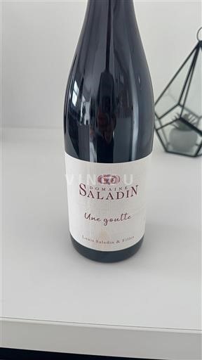 Vale do Ródano Côtes-do-Ródano Domaine Saladin Une goulée Não Sazonado