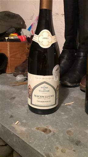 Burgundi Mâcon dhe Mâcon-Village Vigne du Cloître 2021