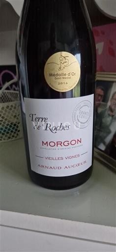 Viner Rouge sec Terre de Roches Vielles Vignes Arnaud Aucoeur 2015 Frankrike Beaujolais Morgon AOC