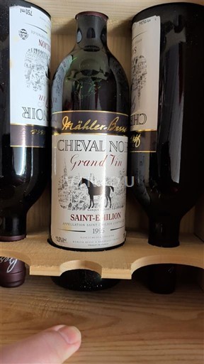 Bordoja Saint-Émilion Cheval Noir Grand Vin 1995