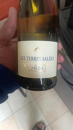 Вина Blanc sec Les Terres Salées 2024 Francuska Лангедок и Русијон Ауде IGP