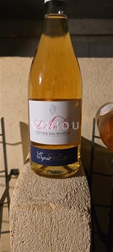 Rhônen laakso Côtes-du-rhône L'Art Osé Esprit Pastel Ei vuosikertaa