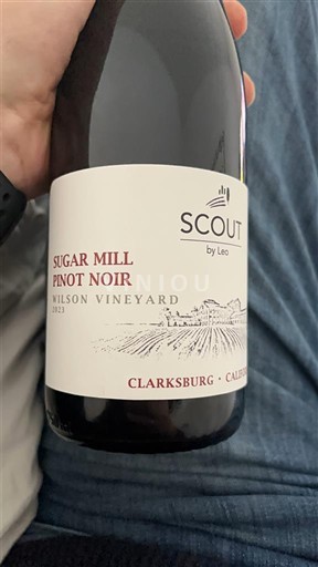 AVA kaliforniane Clarksburg Scout by Leo Sugar Mill Pinot Noir Wilson Vineyard 2023