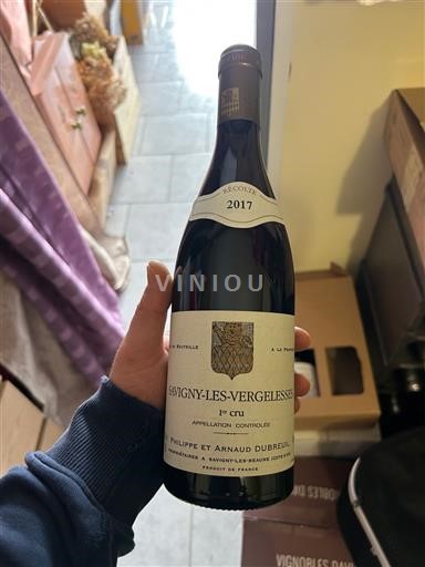 Burgundija Nespecificirano Premier Cru Philippe et Arnaud Dubreuil 2017