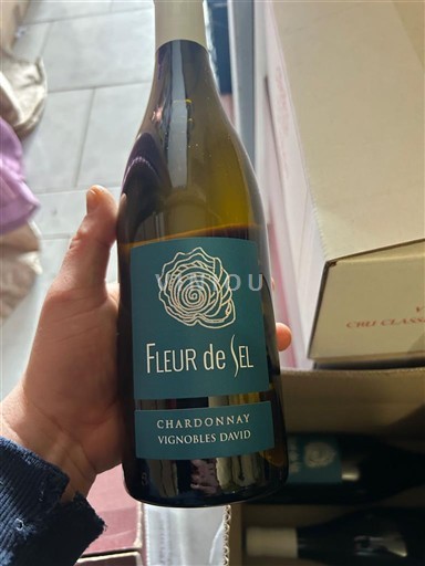 Provence, pjesa e poshtme e luginës së Rhônës, Korsikë Mesdheut Vignobles David Fleur de Sel 2025