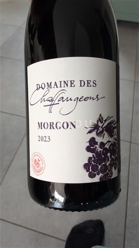 Vini Rouge sec Domaine Chaffangeons 2023 Francia Beaujolais Morgon AOC
