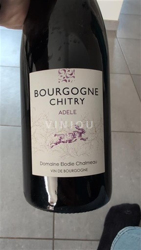Rượu vang Rouge sec Adele Domaine Elodie Chaumeau 2022 Pháp Bourgogne Bourgogne Chitry AOC