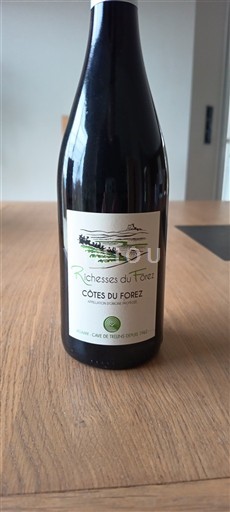 Beaujolais Cave des Vignerons Foréziens Richesses du Forez Jo Viti