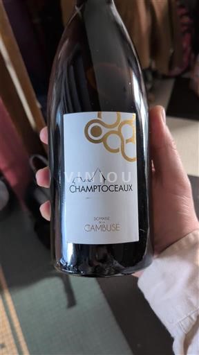 Verërat Blanc sec Champtoceaux Domaine La Cambuse 2017 Francë Lugina e Luarës Muscadet-kodrat-e-loirës AOC