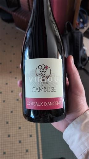Вина Rouge sec Domaine La Cambuse 2025 Francuska Dolina Loare Кото де Ансени AOC