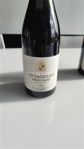 Viner Rouge sec Etienne Danteuille 2016 Frankrike Burgund AOC