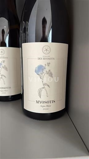 Vinuri Blanc sec Domaine Myosotis 2024 Franța Valea Loarei Anjou AOC