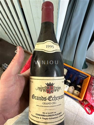 Burgundija Grands-échézeaux Grand Cru Coquard-Loison-Fleurot 1995