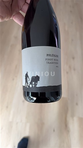 Pfalzi Pflüger Pinot Noir Tradition 2021