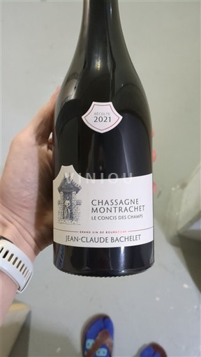 Burgundi Chassagne-montrachet Jean-Claude Bachelet Le Concis des Champs 2021