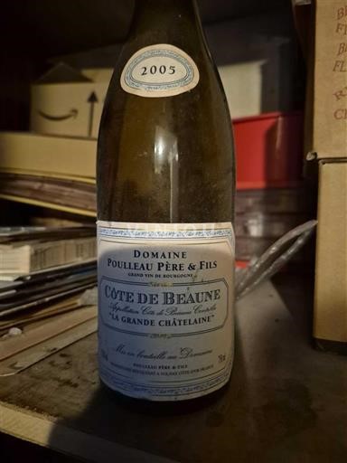 Burgundija Côte-de-beaune Domaine Poulleau Père & Fils La Grande Châtelaine 2005