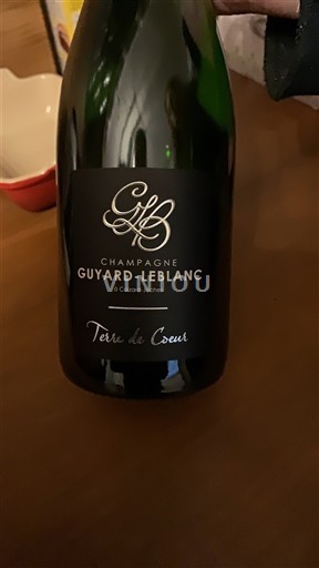 Spumanti Blanc brut Terre de Coeur Guyard-Leblanc Non millésimé Francia Champagne AOC