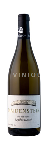 Moravia Znojemská Nepraš 2016