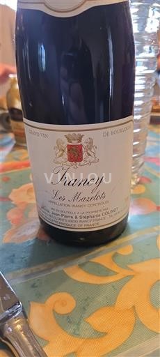 Burgundija Irancy Domaine Pierre & Sébastien Coudray Les Mazelots Neleten.