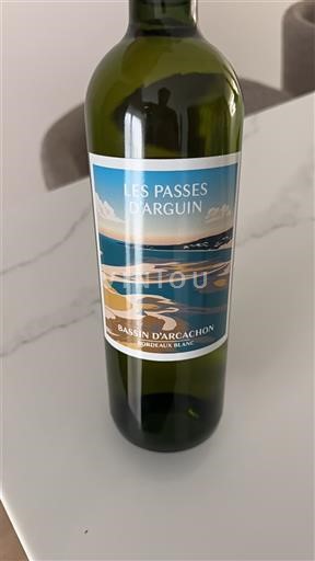 Bordeaux Ikke spesifisert Les Passes d'Arguin 2024