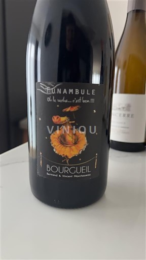 Verërat Rouge sec Funambule Bertrand & Vincent Marchesseau 2018 Francë Lugina e Luarës Bourgueil AOC