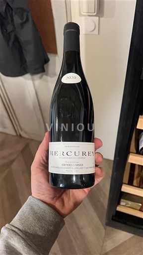 Vina Rouge sec Je´re´mie Coindard 2020 Francija Burgundija Mercurey AOC