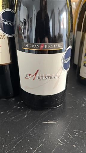 Vina Rouge sec L'Ancestrale Jourdan & Pichard Non millésimé Francija Dolina Loare Saumur-champigny AOC