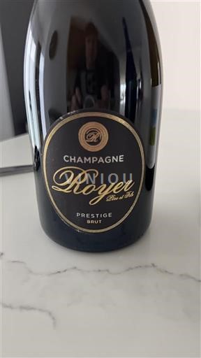 Peneča vina Blanc brut Prestige Royer Père et Fils Non millésimé Francija Šampanja Šampanjec AOC