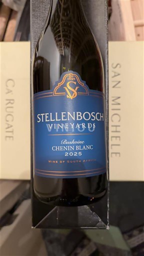 Kystregionen Stellenbosch Stellenbosch Vineyards Bushvine 2025