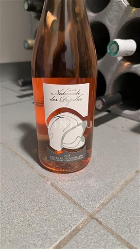 Roussillon Côtes du Roussillon Vignobles Dom Brial nationale des pupilles 2022