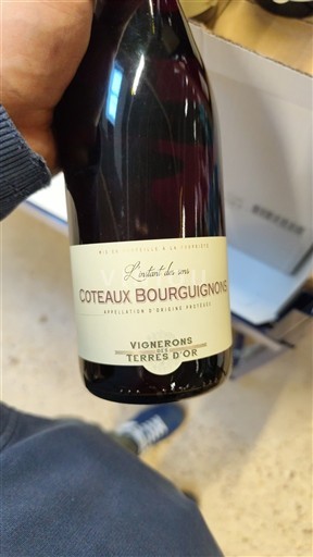 Burgundi Kodra të Burgonisë Vignerons Terres d'Or L'instant du sens 2023
