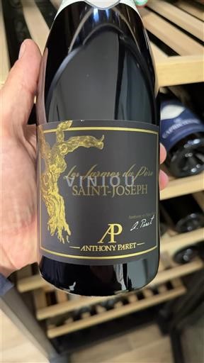 Lugina e Ronës Shën Jozefi Anthony Paret Les Larmes du Père Jo Viti