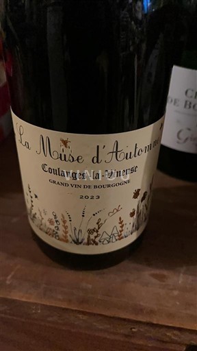 Verërat Rouge sec La Moïse d'Automne 2023 Francë Burgundi E paspecifikuar AOC