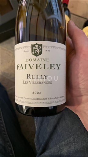 Vinos Blanc sec Les Villeranges Domaine Faiveley 2023 Francia Borgoña Rully AOC