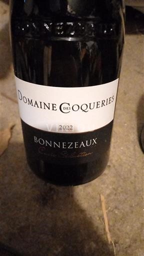Lugina e Luarës Bonnezeaux Domaine Coqueries Séduction 2022