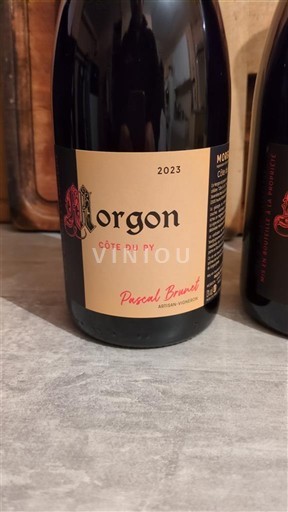 Вина Rouge sec Côte du Py Pascal Brunet 2023 Francuska Божоље Моргон AOC