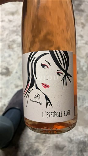 Verërat Rosé sec L'Espiègle Rosé Domaine Wantz 2023 Francë Alsace Vin de France