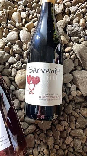 Piemonte Langhe Bera Vittorio e Figli Sarvanét 2021