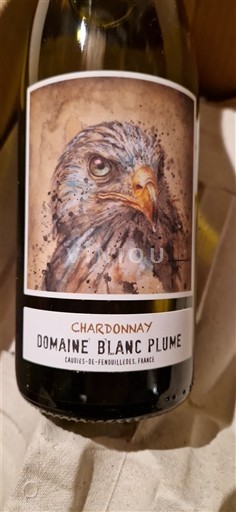 Verërat Blanc sec Domaine Blanc Plume Non millésimé Francë Languedok E paspecifikuar AOC