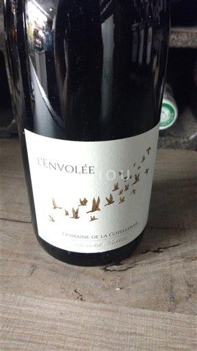 Loiredalen Saint-Nicolas-De-Bourgueil Domaine La Cotelleraie L'Envolée 2022