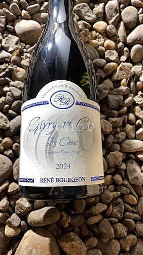 Vin Rouge sec La Choue René Bourgeon 2024 France Bourgogne AOC Premier Cru
