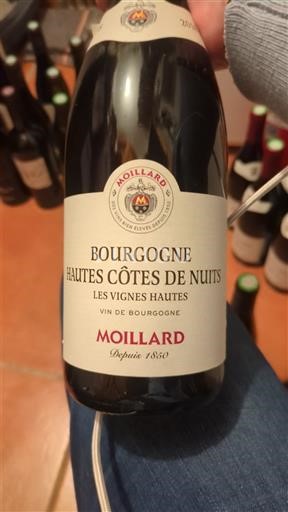 Burgund Hautes Côtes de Nuits Moillard Les Vignes Hautes 2018