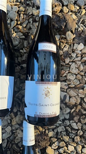 Burgundija Nuits-Saint-Georges R. Dubois & Fils 2022