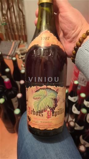 Weine Rouge sec Gouillaud Frères 1987 Frankreich Jura Arbois-Pupillin AOC